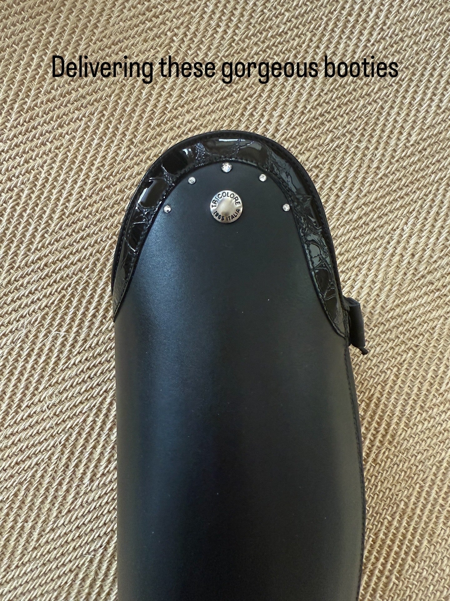 Tricolore Dressage Boot puro Duo smooth