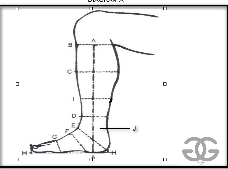 Deniro Leuca S 4602 Field Boot - Gee Gee Equine Equestrian Boutique
- 2