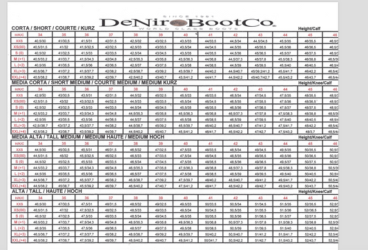 Deniro Erika 01 with Greta Dress Boot - Gee Gee Equine Equestrian Boutique
- 2