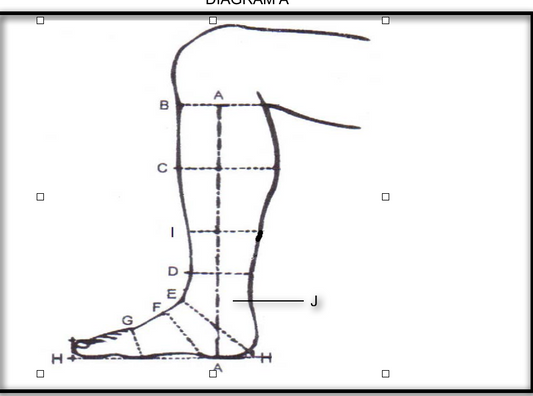 Deniro Dress Boot Leonardo - Gee Gee Equine Equestrian Boutique
- 2