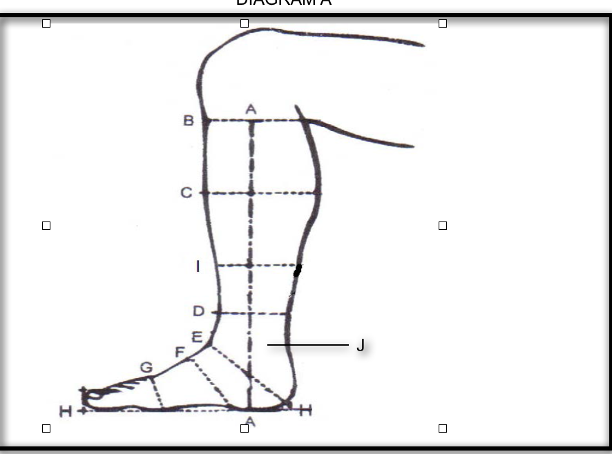 Deniro Erika 01 with Greta Dress Boot