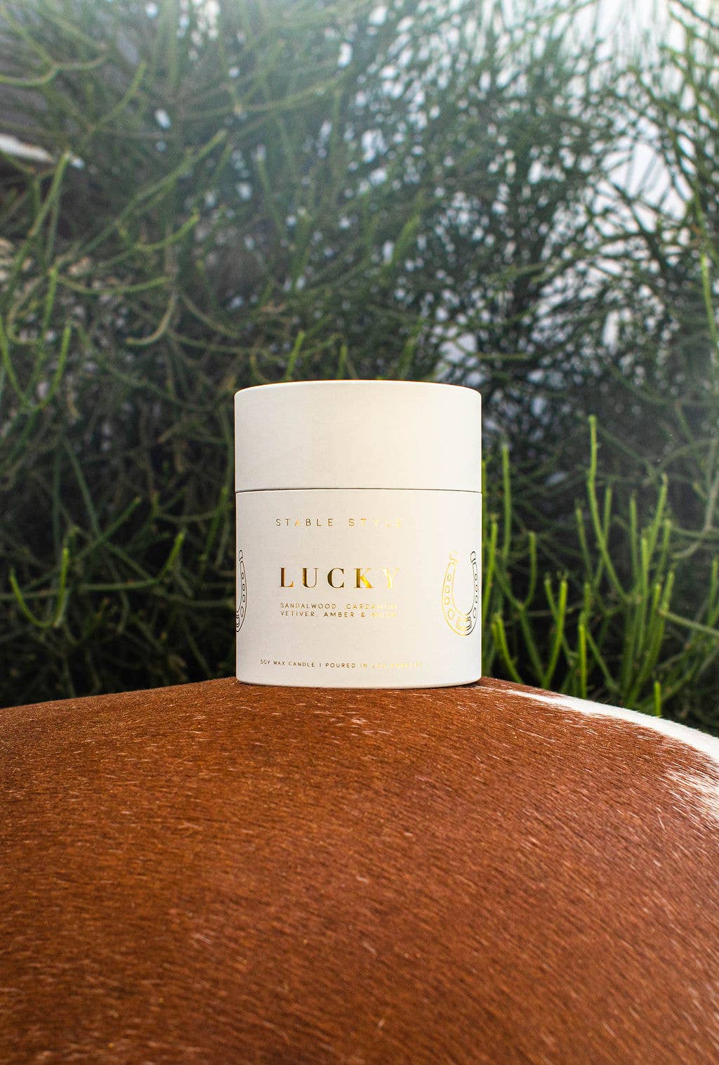 Stable Style Horseshoe Soy Wax Candle - Lucky 