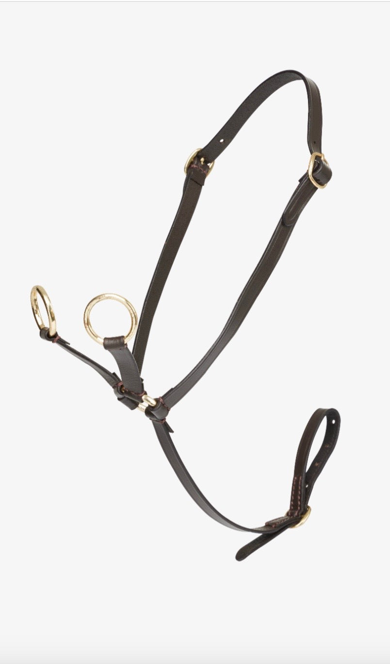 Le Mieux Toy Pony Martingale - Brown