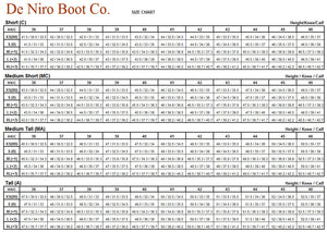 Deniro Tall Polo boot - Gee Gee Equine